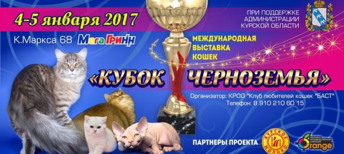 Кубок Черноземья 2017, Курск