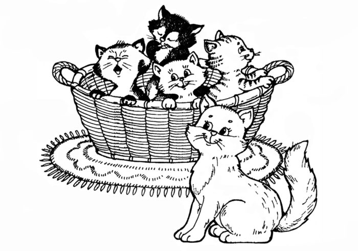 кошки в лукошке